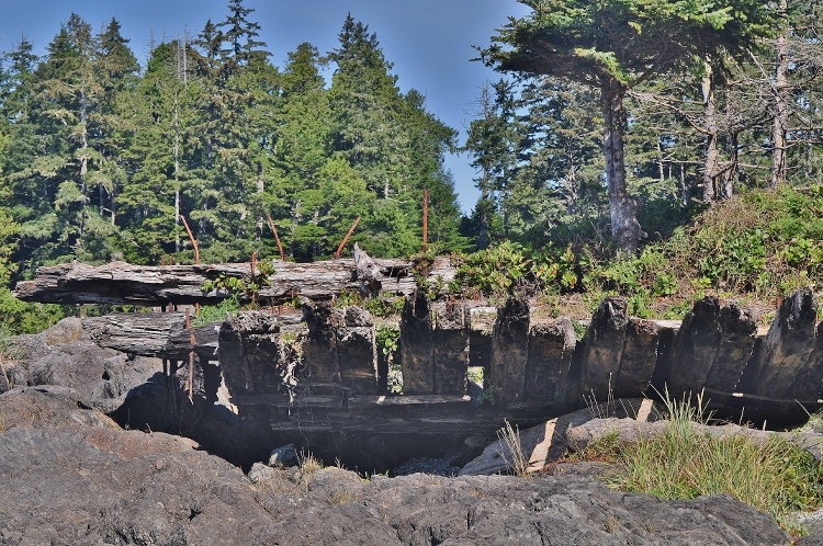 remains of shipwreck
